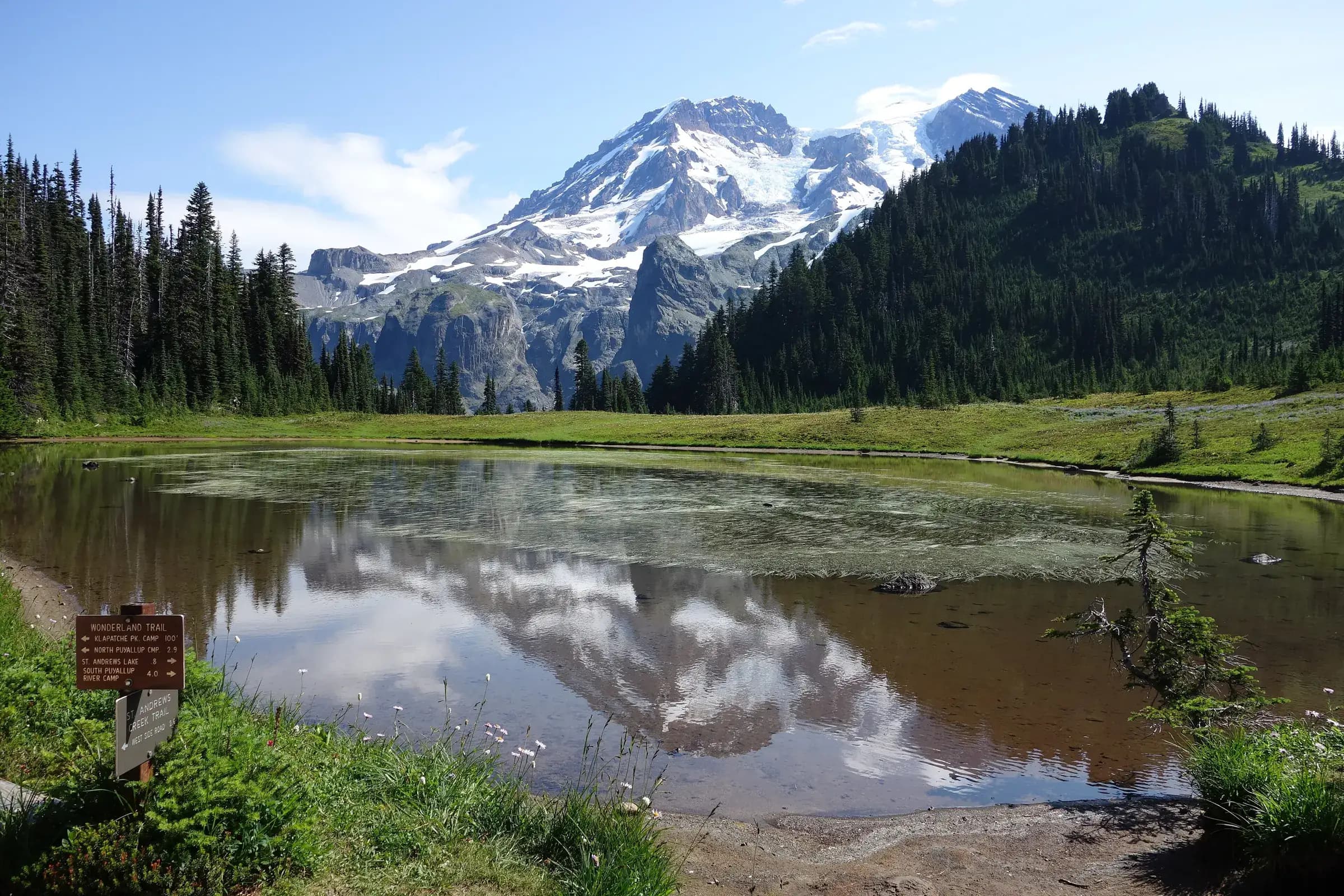 Mount Rainier reflected in Aurora Lake in Klapatche Park on the Wonderland Trail